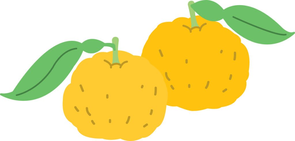 冬至とは新しく1年が生まれ変わる日